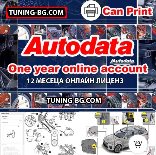 AutoData online