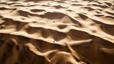 Рали Дакар 2026: Лучано Бенавидес печели 8-ия етап и е новият лидер